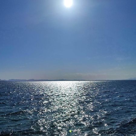 Apartamento Cerca De La Playa La Mata La Mata  Rum bild