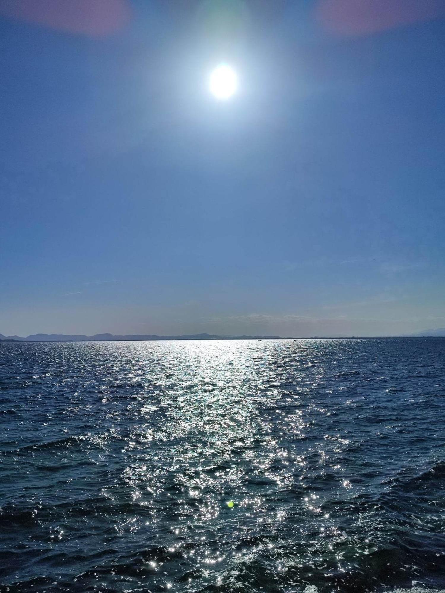 Apartamento Cerca De La Playa La Mata La Mata  Rum bild